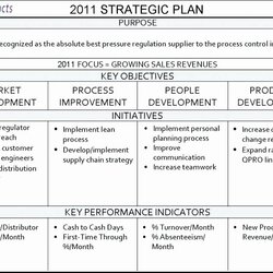 The Highest Quality Strategic Planning For Nonprofits Template New Plan Example