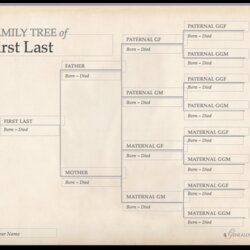 Sterling Printable Family Tree Template Free Crafts Update Chart Templates Charts Genealogy Forms Editable