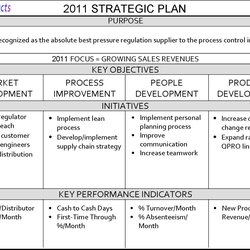 Superlative Strategic Business Plan Example Template Planning Sample Small Examples Strategy Plans Work