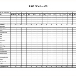Cash Flow Projection For Months And Business Forecast With Spreadsheet Excel