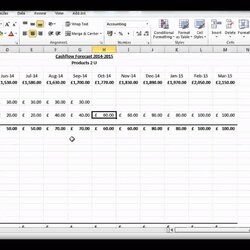 Eminent Cash Flow Chart Excel Template Project Spreadsheet Microsoft Analysis Discounted Forecast Create