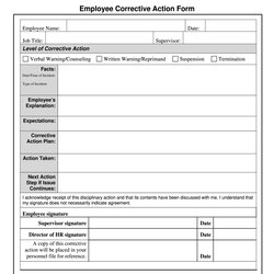 Superb Corrective Action Form Example Fill And Sign Printable Template Large