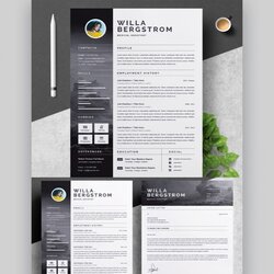 Great Mac Best Attractive Resume Templates Free Download Ideas