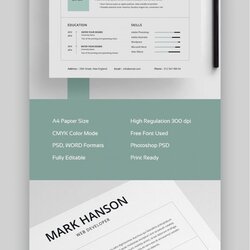 Sublime Breathtaking Attractive Resume Templates Free Download Mac High Definition