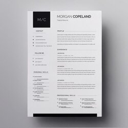 Magnificent Attractive Resume Templates Free Download Mac High