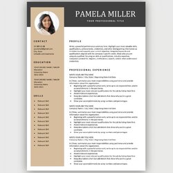 Supreme Attractive Resume Templates Free Download Modern Resumes
