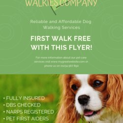 The Highest Quality Dog Walking Flyer Template