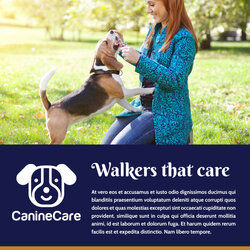 Capital Dog Walking Promo Flyer Template Flyers Templates