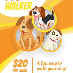 Wizard Dog Walking Flyer Template Download Free Design Samples Definitions Sample