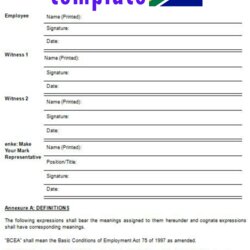 Smashing Amendment To Employment Contract Template South Africa The Templates Art