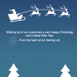 Perfect Christmas Email Design Templates Free