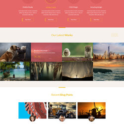 Champion Creative Website Design Template Free Files And Templates Web Elements February