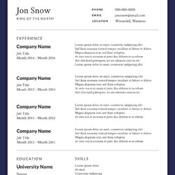 Out Of This World Your Resume Formats Guide For Professional Template Format Example Functional Marketing