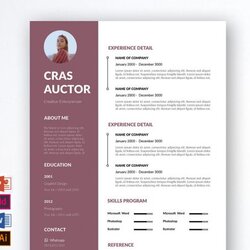 Marvelous Best Column Resume Template Free Download Page Of Professional Word Format