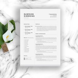 Best Resume Templates Career And College Resources Template Typographic Page