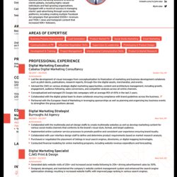 Matchless New Template Stellar Guide Latest Format Professional