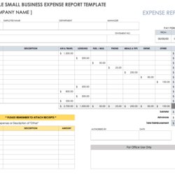 Outstanding Expense Report Template Excel