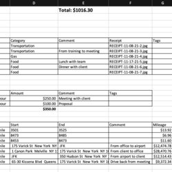Exceptional Food Expense Report Template In Excel