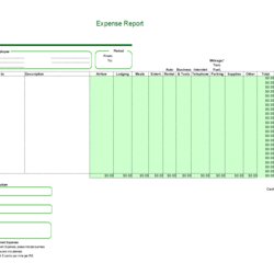 Wizard Expense Report Template Excel Worksheet Templates At