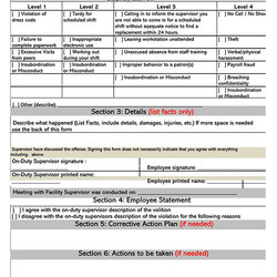 Excellent Free Employee Disciplinary Action Forms Word Form Templates