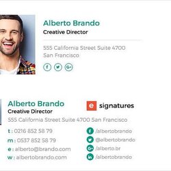 Champion Professional Email Signature Designs Templates Template Creative Signatures Buy Now
