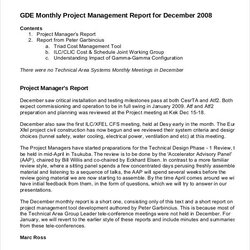 Project Management Report Templates Ms Word Excel Template Monthly