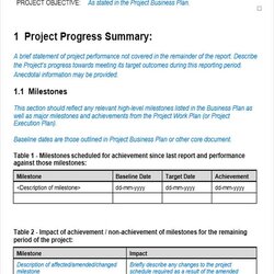 The Highest Standard Weekly Report Templates In Word Management Project Template Business