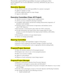 Terrific Standard Project Roles And Responsibilities