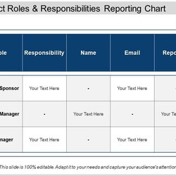 Project Roles And Responsibilities Reporting Chart Design Template Sample Skip End