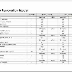 Supreme Home Renovation Project Plan Template Excel New Model