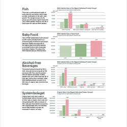 Capital Marketing Report Example Template Sample Market Templates Word Format Se Excel Web Way Agreement