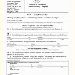 Tremendous Company Bylaws Template Free Of Inspirational Corporate Sample Minnesota