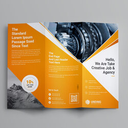 Brilliant Pearl Professional Fold Brochure Template Graphic Mega Fit