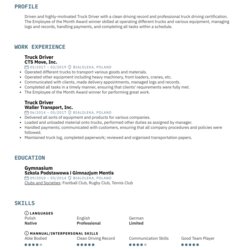 Out Of This World Truck Driver Resume Example Image