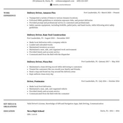 Wizard Delivery Driver Resume Example Writing Tips For