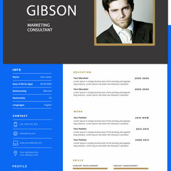 Legit Free High Quality Professional Resume Templates Scaled
