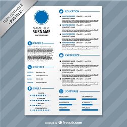 Marvelous Premium Free Resumes For Creative People To Get The Best Editable Format Templates Resume Download