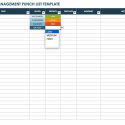 Splendid Free Punch List Templates Tasks Organized Schedule