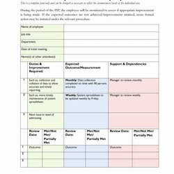 Sample Example Format Templates Performance Improvement Action Personal Proposal Remarkable Employee Plan