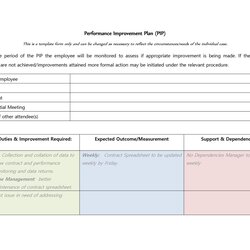 Performance Improvement Plan Templates Examples Template Sample Write Action Example Format