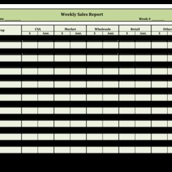 Sterling Sales Report Templates