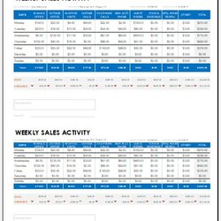 Peerless Weekly Sales Report Templates For Ms Excel Word Template Professional Example Marketing Details