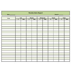 Splendid Weekly Sales Report Templates Google Docs Sheets Excel Width