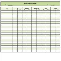 Perfect Sales Report Samples Word Docs Weekly Retail Template Sample Templates Business