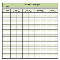 Super Sales Report Samples Sample Templates Weekly Download