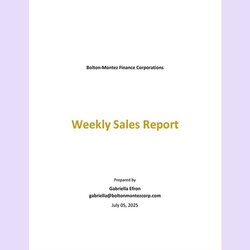Weekly Sales Report Template Google Docs Word Apple Pages Untitled