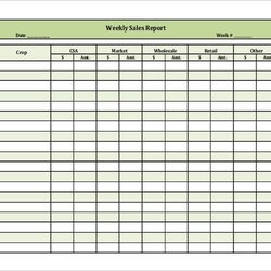 The Highest Quality Weekly Sales Report Sample Best Of Document Template