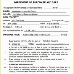 Perfect Business Sale Agreement Template Free Download Of Purchase And Contract Sales Document Blank Example