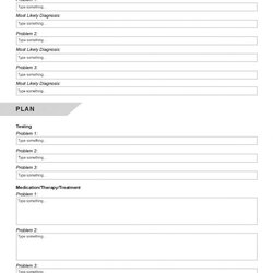 Wonderful Comprehensive Soap Note Template Editable Page