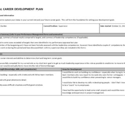Free Personal Career Development Plan Templates At Examples Employee Template